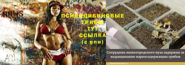бошки Абдулино