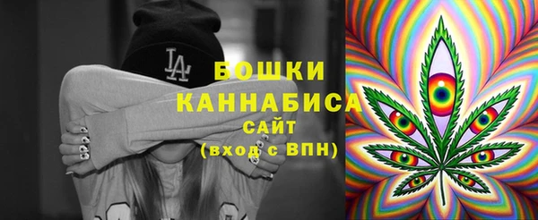 ПСИЛОЦИБИНОВЫЕ ГРИБЫ Абаза