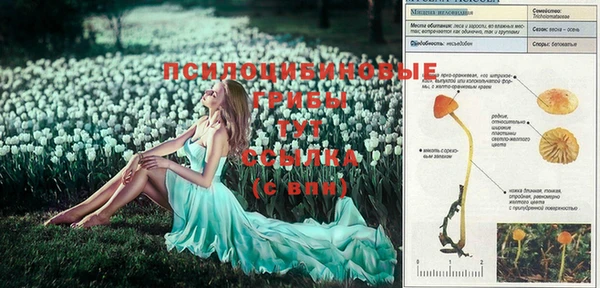 бошки Абдулино